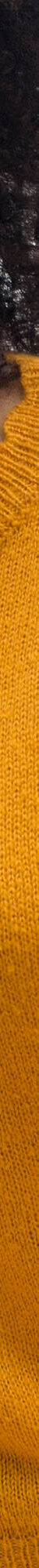 Pull col rond finitions écailles (safran) Pull col rond finitions écailles (safran)